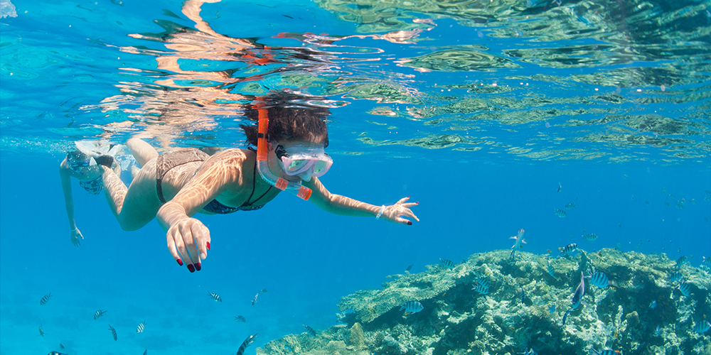 Hamata-Island-Snorkeling-Tour-From-Marsa-Alam.