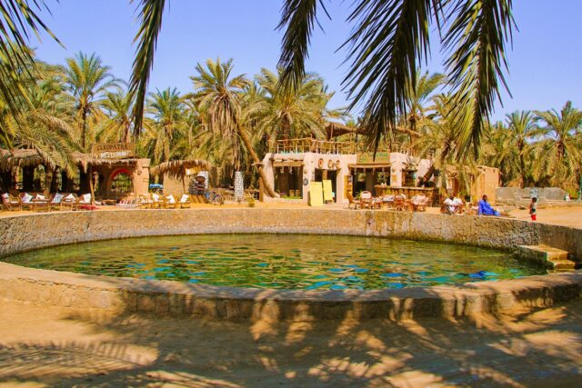 Siwa-oasis-Western-Desert