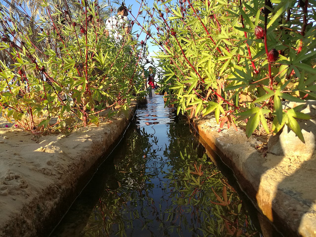 3-day-siwa-adventure