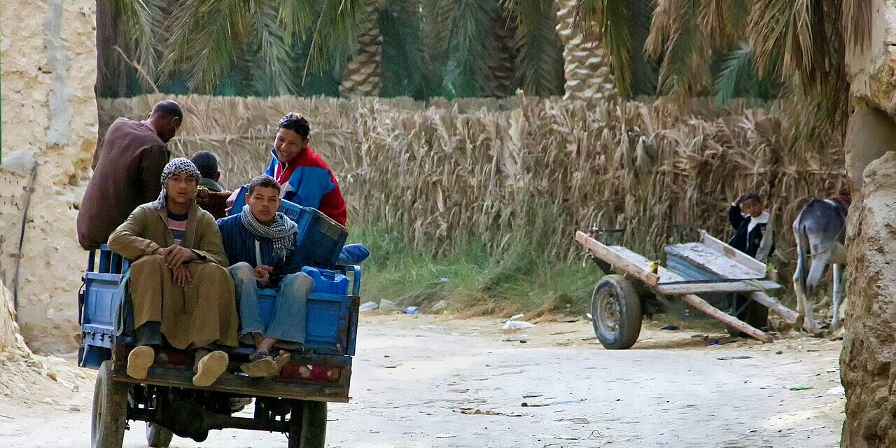 3-Day Private Siwa Oasis Adventure from Cairo