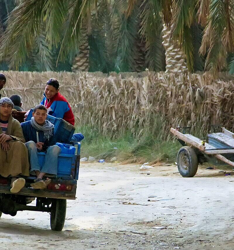 3-Day Private Siwa Oasis Adventure from Cairo