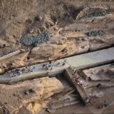 Excursion_tours-in-aswan-with-Atef-G